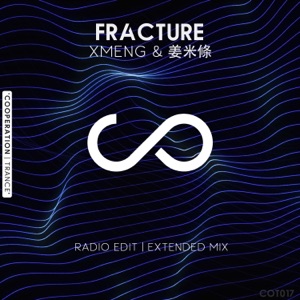 Fracture - Single