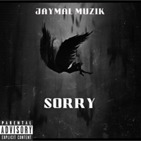 Sorry - Single - Jaymal Muzik