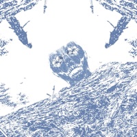 REAPER COMBAT ART (feat. Weirddough) - Single - Nate the Martian