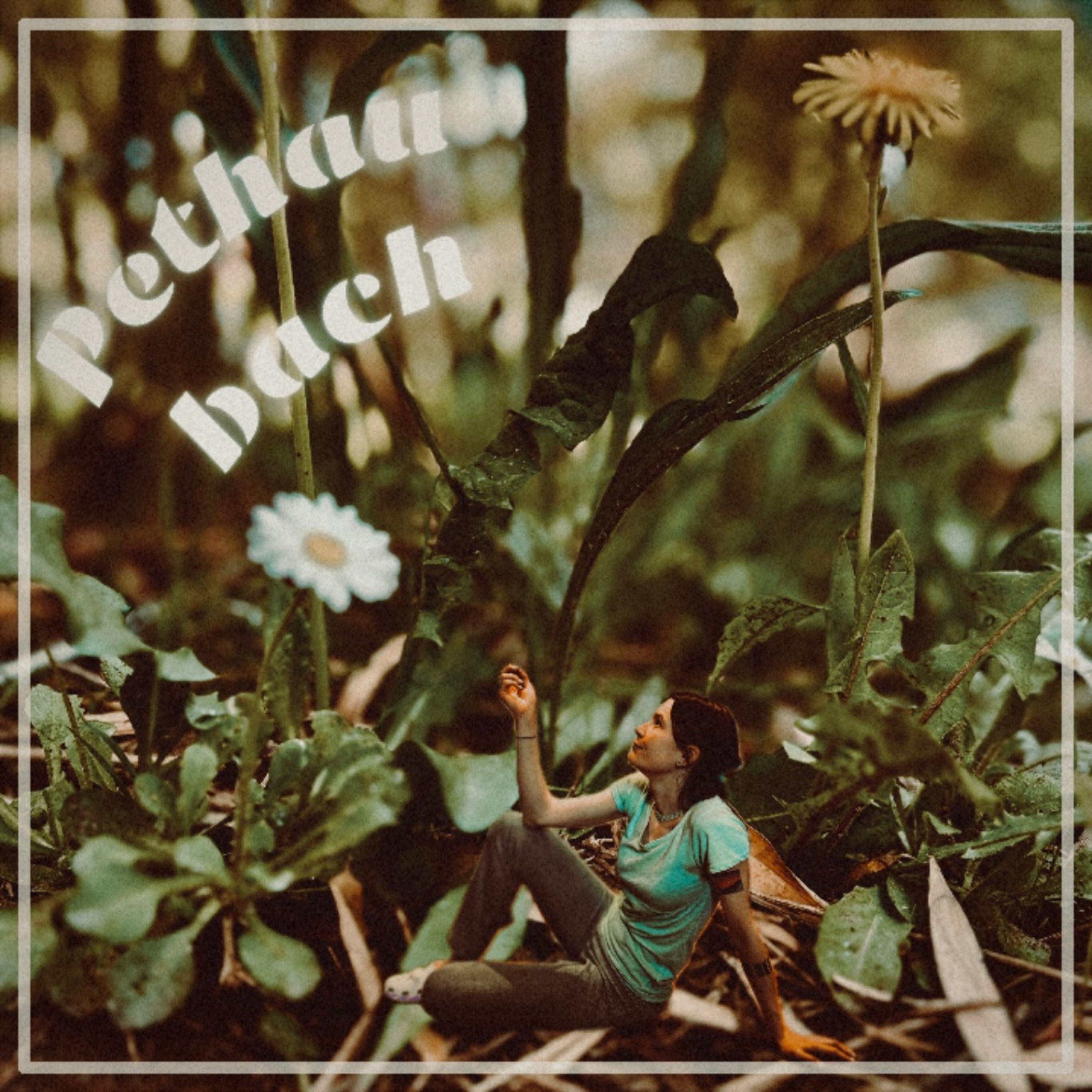 Pethau bach - Single