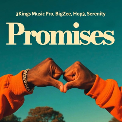 PROMISES (feat. Serenity, BIGZEE & Hop3music) - Single