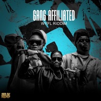 Gang Affiliated WYFL Riddim (feat. Y-Cool & Dizmo) - Single - Jae Cash