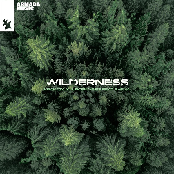 Wilderness (feat. Shena) - Single