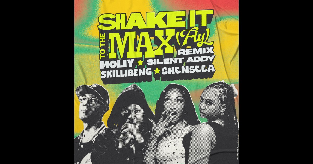  shake it to the max fly remix single moliy silent addy