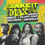 Shake It To The Max (FLY) [Remix] song art