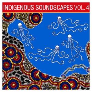 Indigenous Soundscapes, Vol. 4