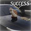 Success - Single