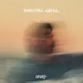 Beautiful World
