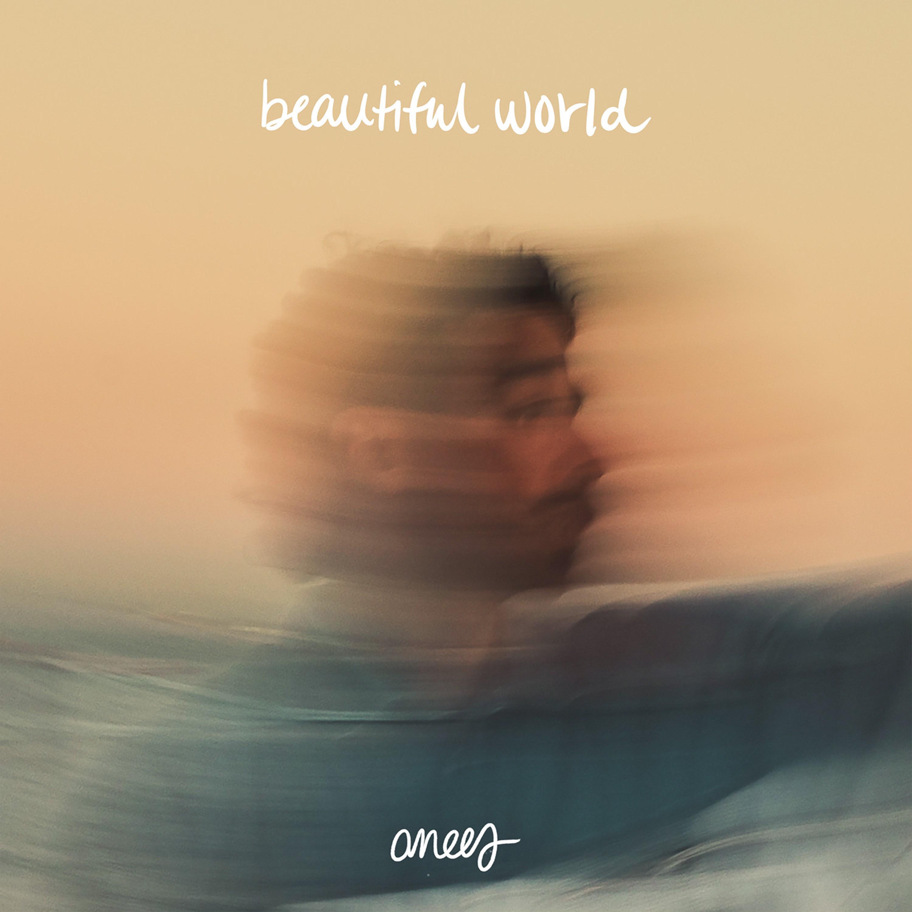 ANEES - BEAUTIFUL WORLD