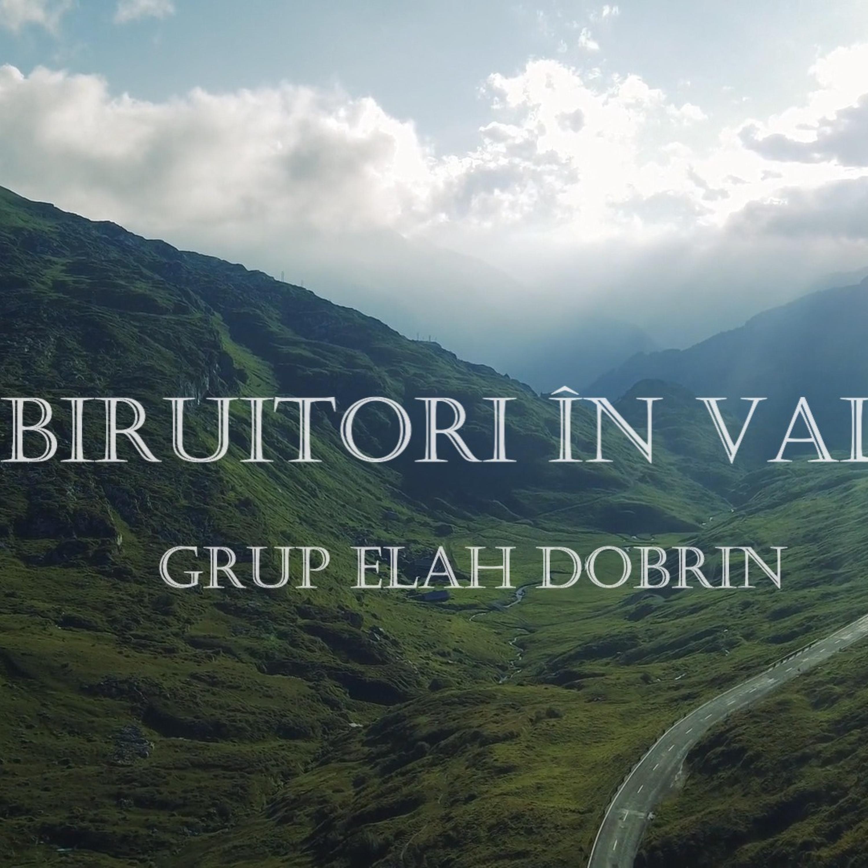 Biruitori in vale - Single