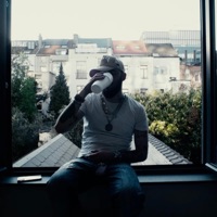 Counter UAV - Single - Nottrvp