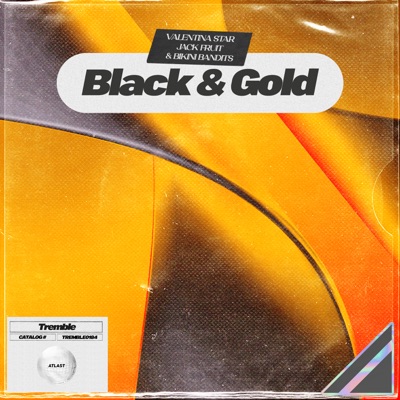 Black & Gold - Single