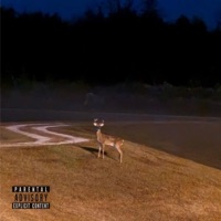 Bad News - Single - Evvo