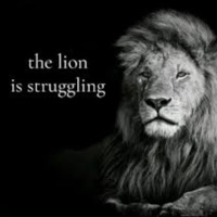 Celine - Single - gleem