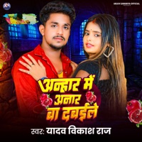 Anhar Me Anar Ba Dabaile - Single - Yadav Vikash Raj