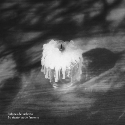 Lo Siento, No Lo Lamento - Single