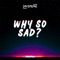 Why So Sad? Its Always Wobin - Wobin lyrics