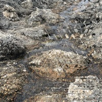 Life Is But a Dream - Single - KLLED