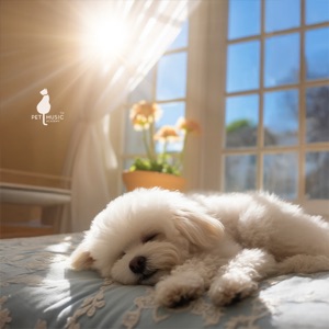 Helping Your Pet Find Peace