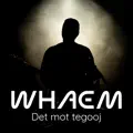 Det mot tegooj