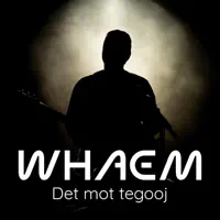 Det mot tegooj — Whaem