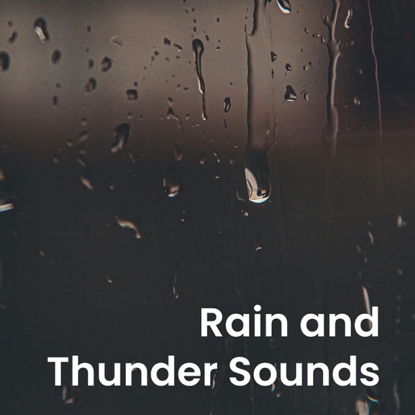 Rain and Thunder Sounds
