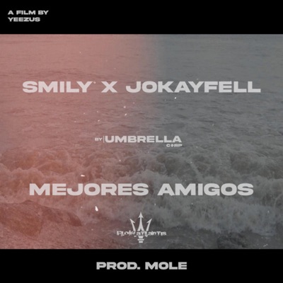 Mejores Amigos (feat. Jokayfell) - Single