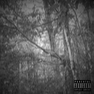 incarceration of the fractured mind