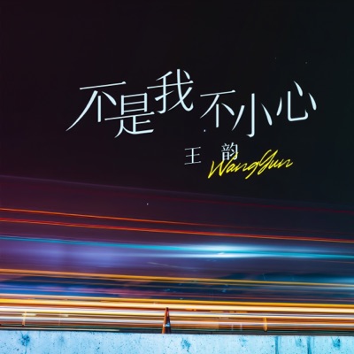 Wang Yun - 不是我不小心