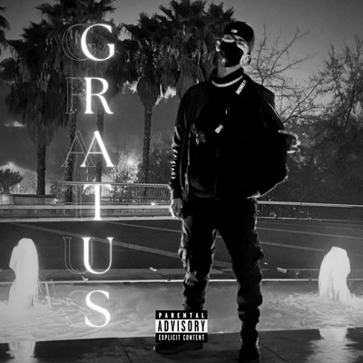 Gratus (feat. Mjay & Mery99) - Single