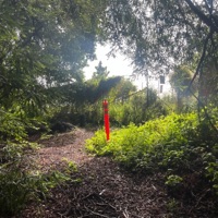 if the world falls down - Single - MERLOT