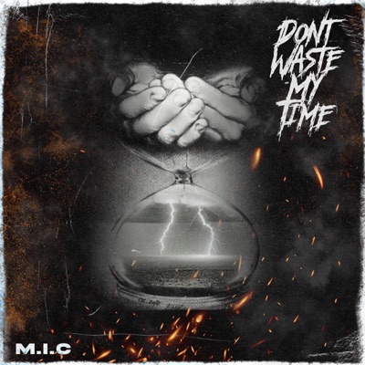 Don't Waste My Time - Single