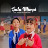 Satu Mimpi (feat. Vania Latifa) - Single