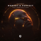 Nobody's Perfect (feat. Dana Williams) artwork
