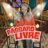Josi Labarca - Pássaro Livre