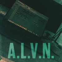 Summer Feeling - Single - ALVN
