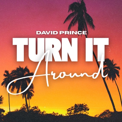 Turn It Around - Single