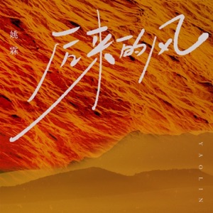 后来的风 - Single