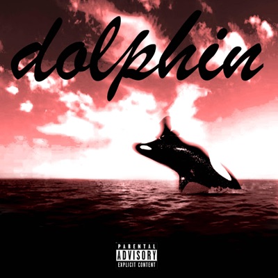 dolphin - Single