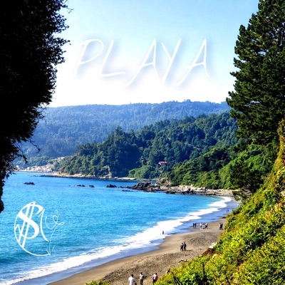 playa (og mix) - Single