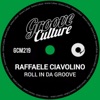 Roll In Da Groove cover art