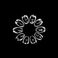 waiting (feat. Brin Taylor) - Single - Audiodrugz