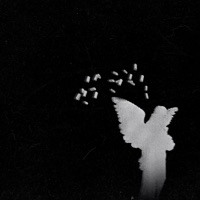 Hasta Que Se Agoten Las Balas - Single - DimeloDeivid & Fonxx