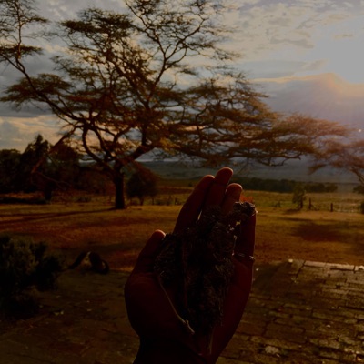 Casso Rolls - Single