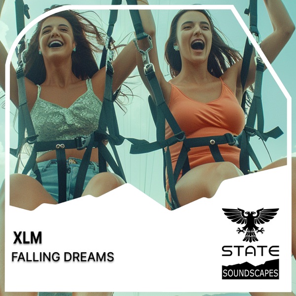 Falling Dreams - Single