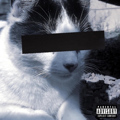 No Such Thing (feat. Korral Klein) - Single