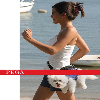 pega (feat. Yung Jara, Rojo Minaj & Ka$h Karda$hian) - Single