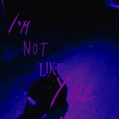 Im Not Like Yall