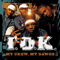 Chi Chi Man - T.O.K Cover Art