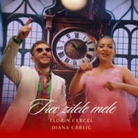 Trec zilele mele (feat. Diana Cârlig) - Single - Florin Cercel